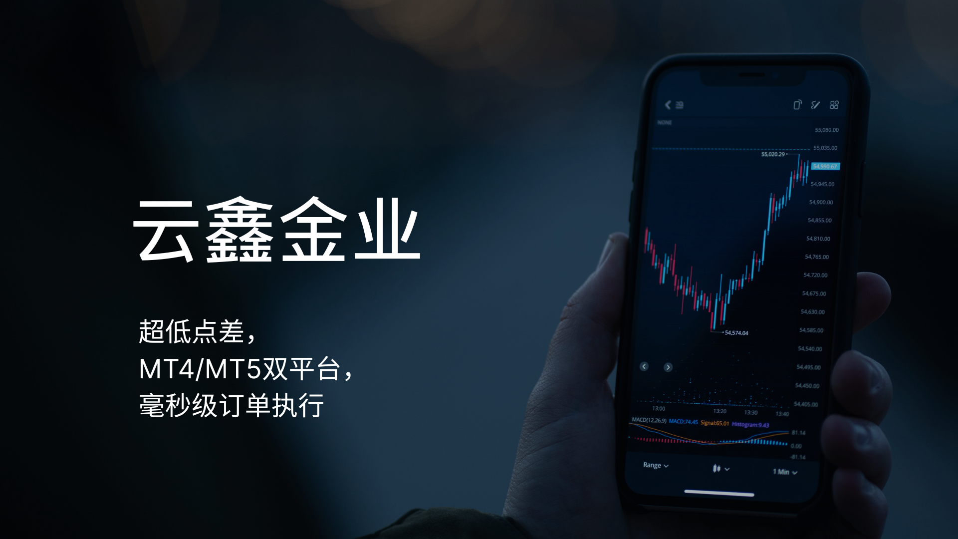 云鑫金业怎么样？